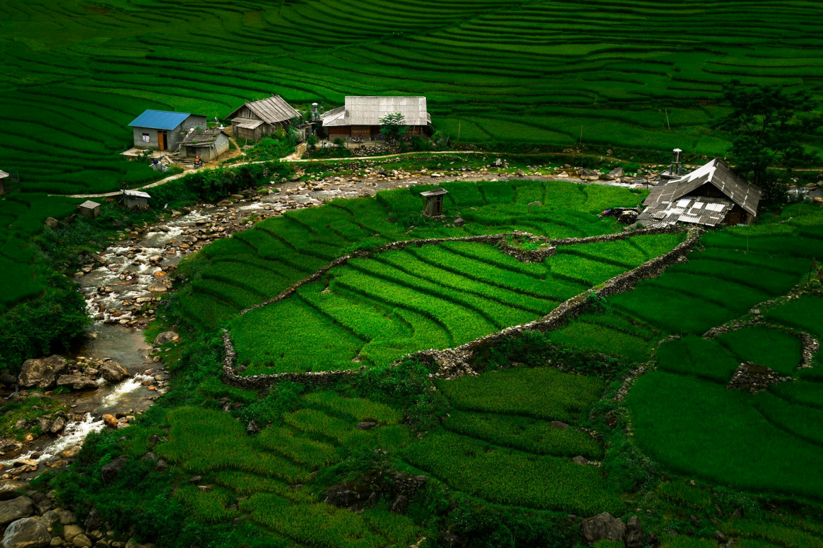 Breathtaking Green Terraces of Sapa: A Cultural Gem in Lào Cai, Việt Nam