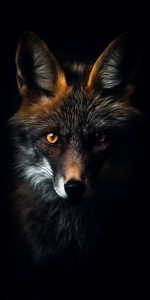 Captivating Gaze: The Intricate Beauty of a Fox's Face