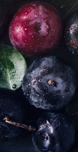 Dew-Kissed Plums: A Close Encounter with Freshness