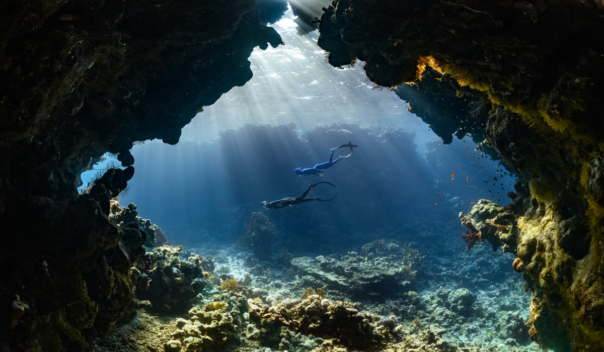 Discovery at the Kaleidoscopic Coral Reefs of NEOM, Saudi Arabia