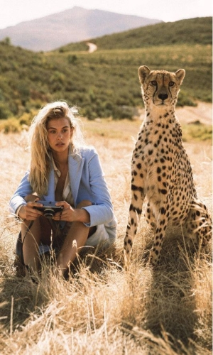 Discovery in the Wilderness: The Unexpected Bond with a Cheetah