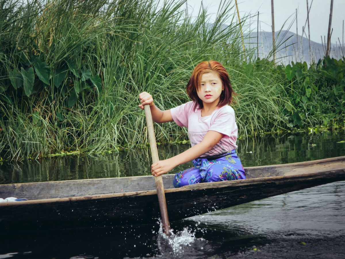 Golden Cheeks: A Serene Paddling Adventure Amidst Lush Greenery