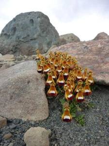 Golden Figurines: An Artistic Installation Amidst Nature