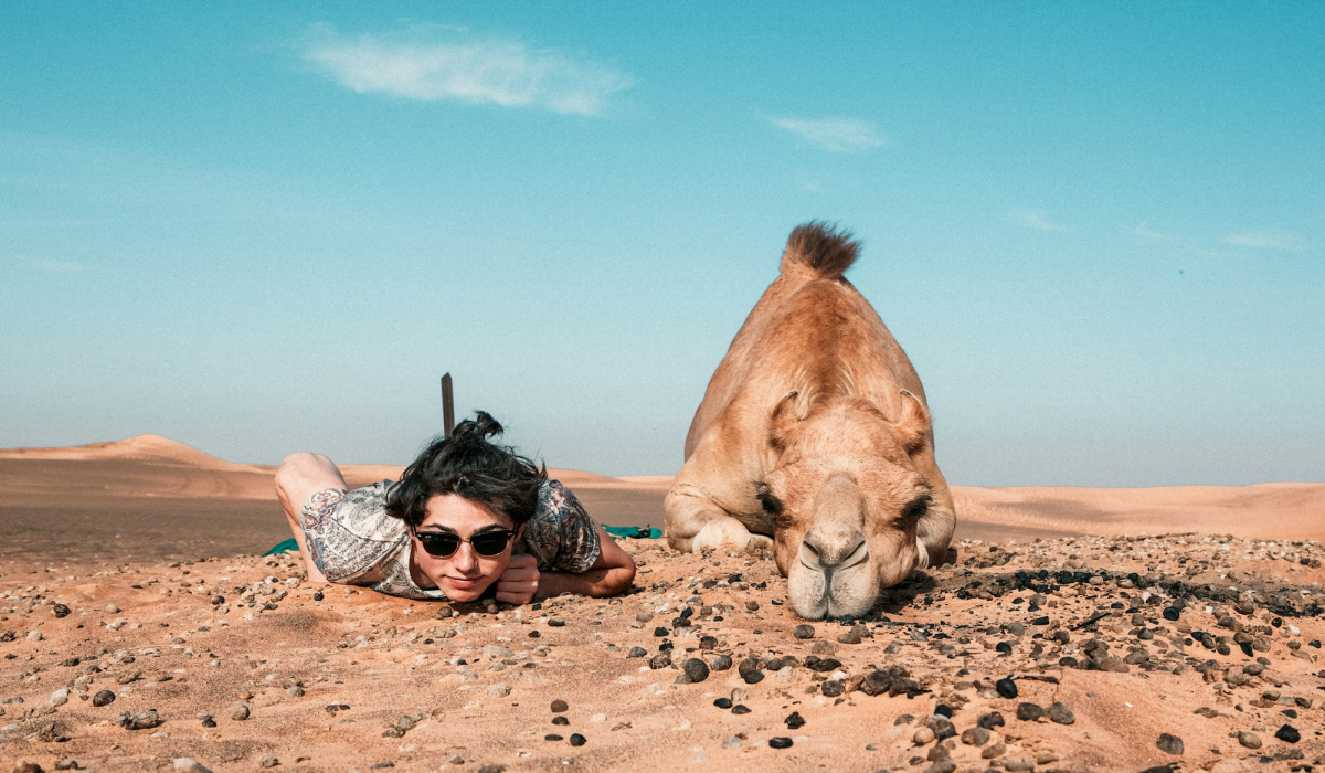Lahbab Desert Safari: Intimate Encounters with Camels in the Heart of United Arab Emirates