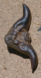 Mysterious Artifact: A Blend of Nature and Creativity