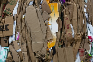 Recycling Efforts on Massachusetts Avenue, Indianapolis
