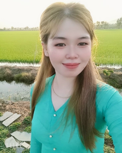 Serenity in Nature: A Journey in the Emerald Fields Under the Sun