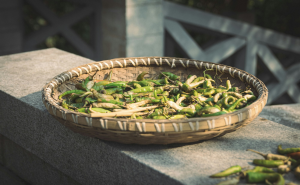 The Allure of Sun-Dried Green Peppers in a Rustic Outdoor Setting