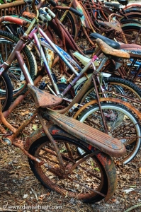 The Forgotten Pedals: A Chronological Journey through Vintage Bicycles