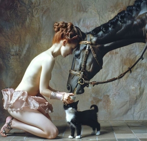 The Unlikely Bond: A Tale of Friendship Between a Person, a Horse, and a Cat