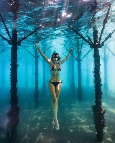 Unearthing Mysteries: A Discovery Underwater Among Vertical Structures