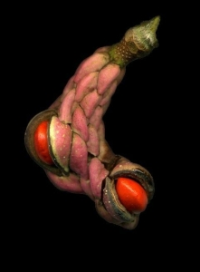 Unveiling the Artistic Depths of Biological Structures